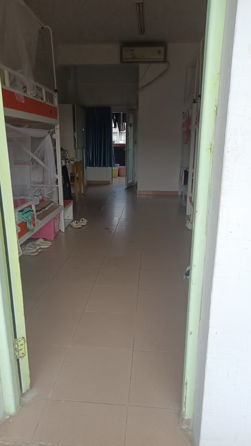 2025042803153280 黄师中高考学校