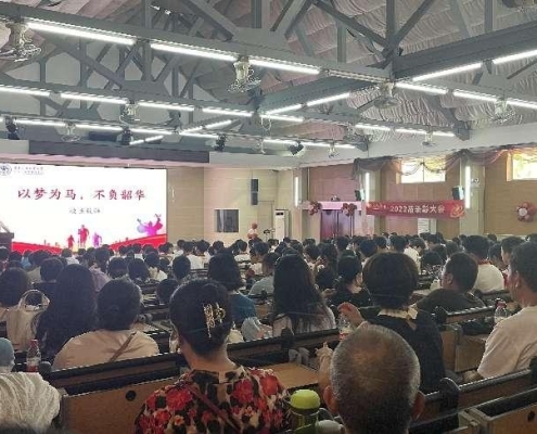 图片8